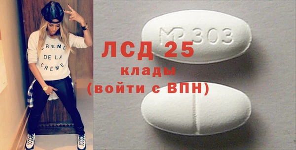 индика Дмитриев