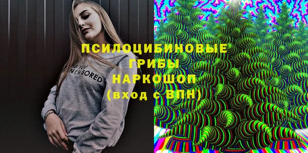 СК Алексин