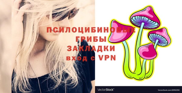 СК Алексин